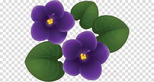 Always on time, farm direct delivery! Violet Purple Flower Petal Plant Clipart Violet Purple Flower Transparent Clip Art