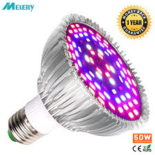 In their native growing environments, these plants are understory plants meaning they grow underneath the branches of larger plants. Led Grow Light Bulb 50w Indoor Plants Bulbs Full Spectrum Lamp Vegetables Flowers For Hydroponics Greenhouses Gardening 80 265v Growing Lamp Bulbs Aliexpress