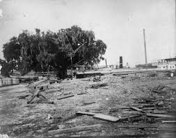 Tammany Family: Shipyards of St. Tammany