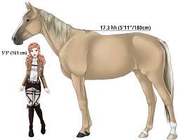 Attack on titan, but from the horses' perspective. Aot Snk Character S Horse Oc Karasi By Opalescences On Deviantart