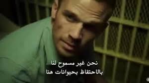 مشاهدة فيلم the formula 2014 مترجم(2014). Ø£Ù‚ÙˆÙ‰ Ø§ÙÙ„Ø§Ù… ÙØ§Ù†Ø¯Ø§Ù… Ø§ÙƒØ´Ù† Ù‚ØªØ§Ù„ Ø§Ø«Ø§Ø±Ø© Ù…ØªØ¹Ø© Ù…Ø´Ø§Ù‡Ø¯Ø© Ù…ØªØ±Ø¬Ù… Ø¨Ø¬ÙˆØ¯Ø© Ø¹Ø§Ù„ÙŠØ© Ù…Ø¬Ø§Ù†ÙŠ Mp3