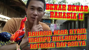 //soundcloud.com/declandp/wande.attribution 3.0 unported (cc by. Rahasia Agar Nafas Ayam Mampu Melampaui Batasan Youtube