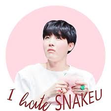 Philips respironics issued a recall for some cpap and bilevel pap devices and mechanical ventilators. Stream I Hate Snakeu J Hope By Min Yoonji Listen Online For Free On Soundcloud