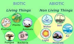 All living things share a universal genetic code. Living Organism Videos Introduction Components Interaction Questions