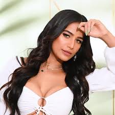 La vita e la carriera di Poonam Pandey 