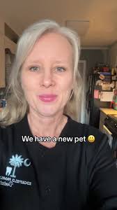 The things I get myself into 🤷‍♀️🤣 #newpet #hamster #willie #joshandmomma