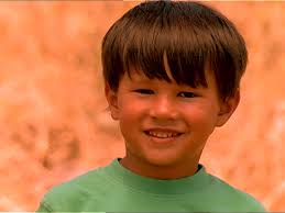 52 Lion Haircut Stock Videos, Footage, & 4K Video Clips