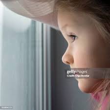 11,219 Bondar Stock Photos, High-Res Pictures, and Images