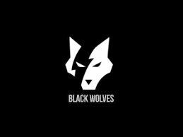 Wolf logo template vector icon illustration design. Logo Black Wolves Youtube