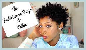 My In Between Stage Hair Growth Color Hair Growth Stages Natural Hair Growth Natural Hair Styles