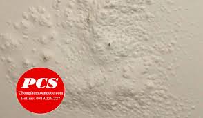 Maxtec MT06 Xử lý triệt để tình trạng tường bị muối hóa