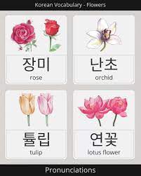 How To Say Rose Orchid Tulip Lotus In Korean Video In 2021 Korean Language Learn Korean Korean Language Learning