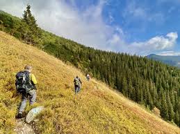Die wandermöglichkeiten in der slowakei reichen von anspruchsvollen hochgebirgswanderungen bis zu einfachen wandertouren in wunderschönen wäldern. Slowakei Reisen Naturparadies Im Herzen Europas Reisen Mit Sinnen