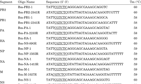 Use alliteration for names like peter parker or susan summers. List Of Primers For The Aichi Influenza Genome Segments Download Table
