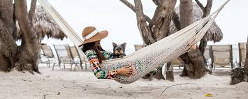 Hours may change under current circumstances 7 Pet Friendly Escapes The Dog Diaries Four Seasons Magazine