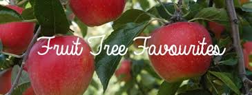 The fruit doubling is caused by environmental stress. Fruit Trees Palmers Garden Centre