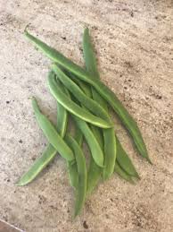 Cooking Classes by Philip Britten (@ClassesPhilip)