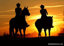 Deep Creek Stables An Incredible Riding Experience Pierson Florida Horseback Riding Horseback Riding Horse Life Shadow Silhouette