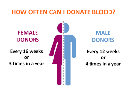 Blood Donation For Weight Loss Is It True Or False You Ask We Answer