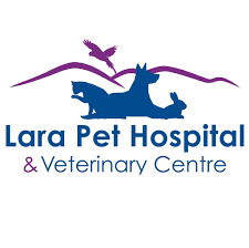 Vet 2 pet is a veterinary clinic with a difference. Lara Pet Hospital And Vet Centre Facebook