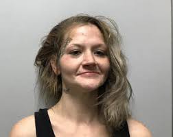 Police pursuit after rotisserie chicken theft at Canton Ingles leads to  arrest of wanted suspects