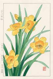 Daffodil By Yuichi Osuga From Shodo Kawarazaki Spring Flower Japanese Woodblock Prints Japanese Woodblock Printing Vintage Botanical Prints Flower Art