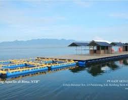 Aquatec Keramba Jaring Apung Kja Hdpe Aquatec Perusahaan Terlengkap Untuk Peralatan Kelautan Dan Perikanan Buatan Anak Bangsa Perahu Dermaga Indonesia