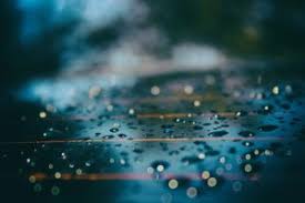 Regen Sprüche Lebensweisheiten Und Sprüche