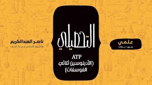 * الأدينوسين في فطر الجانوديرما يساعد على تحسين قوة العضلات. Ø§Ø¯ÙŠÙ†ÙˆØ³ÙŠÙ† Ø«Ù„Ø§Ø«ÙŠ Ø§Ù„ÙÙˆØ³ÙØ§Øª Ù…Ø´Ø±ÙˆØ¹ Ù© Youtube