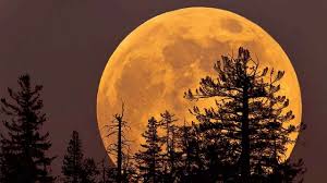This year's first total lunar eclipse will start at 2:17 am as per indian standard timing (ist) and be visible until 7:19 pm ( image source : C5o4cdzmrrfsem