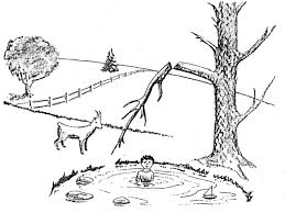 Beginning theatre observation & activities book. The Goat By The Water Observation Vs Inference Originally Named The Boy In The Water Middle School Science Blog