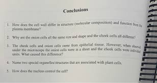 Conclusions 1 How Does The Cell Wall Differ In Chegg Com