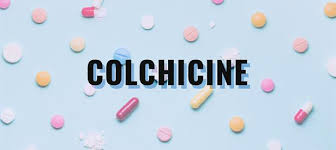 Colchicine does not cure gout, but it will help prevent gout attacks. Colchicine