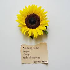 5 183 Likes 46 Comments Gemma Troy Poetry Gemmatroypoetry On Instagram Thank You For Reading My Life Meaning Quotes Sunflower Quotes Meant To Be Quotes