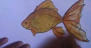 Cara menggambar ikan dengan mudah. Pin On How To Draw