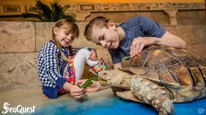 Seaquest Las Vegas Coupon Seaquest Las Vegas Deal And Reviews Rush49 Las Vegas