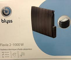 Blyss Flavia Radiateur Pas Cher Qu En Pensez Vous