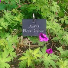 Maybe you would like to learn more about one of these? Go Find A Gift Personalised Outdoor Garden Slate Sign With Metal Stake Hanger 10x7cm Garden Outdoors Garden Decor Clinicadelpieaitanalopez Com