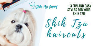 Rest of the face is around 4 inches in length and that's it! 4 Most Stunning Shih Tzu Haircuts 1 Puppy Cut 2 Teddy Bear 3 Lion Cut Safe Grooming Tips