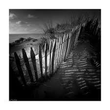 Black And White High Contrast Photos Of Celebrities Celebrity Fashion Photooftheday Style Love Music Beautiful Instagood Follow Photography Celebritystyle Hollywood Black N White Images Photo Image