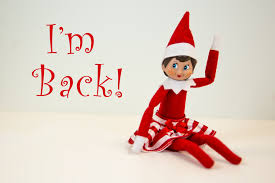 Dot The Elf Homewood Disposal Service We carry a variety of elf dolls to add to your elf on the shelf set, elves by themselves and even glass ornaments. dot the elf homewood disposal service