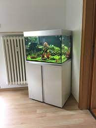eheim proxima umgestaltung auf island lavagestein und 3 eheim power led lampen fish tank aquarium aquascape