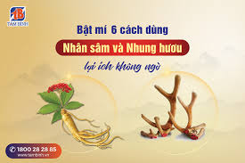 Chuyên gia] hướng dẫn cách dùng Nhân sâm và Nhung hươu hiệu quả tốt