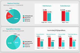 Resultado De Imagen Para Financial Dashboard Design Financial Dashboard Finance Organization Printables Dashboard Examples