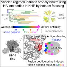 antibody lineages with vaccine induced antigen binding