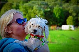 Casa Adam (@CasaAdam2)