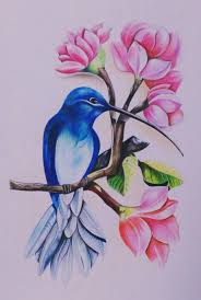 Pin By Ahmet Pantullu On Kelebek In 2020 Bird Drawings Bird Watercolor Paintings Drawings