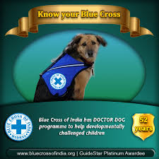 133 reviews of blue cross animal hospital i love this vet. Blue Cross Of India Ngo Animal Rescue Shelter Abc Rabies