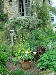 Feb 24 2015 Spring Is Coming To The Inside Of My House And Daffodil Shoots Are Coming Up In The Garden Tuin En Terras Cottage Tuin Tuin