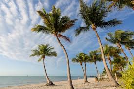 Guided tours, skip the line tickets, helicopter tours, bus tours Https Www 24northhotel Com Blog Top Beaches Key West Best